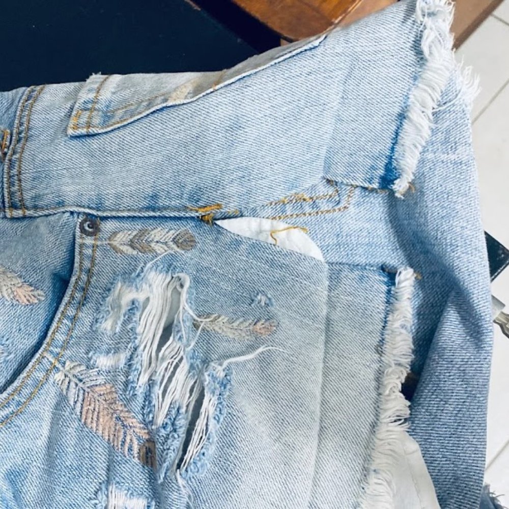 AE Shortie Embroidered Jean Shorts